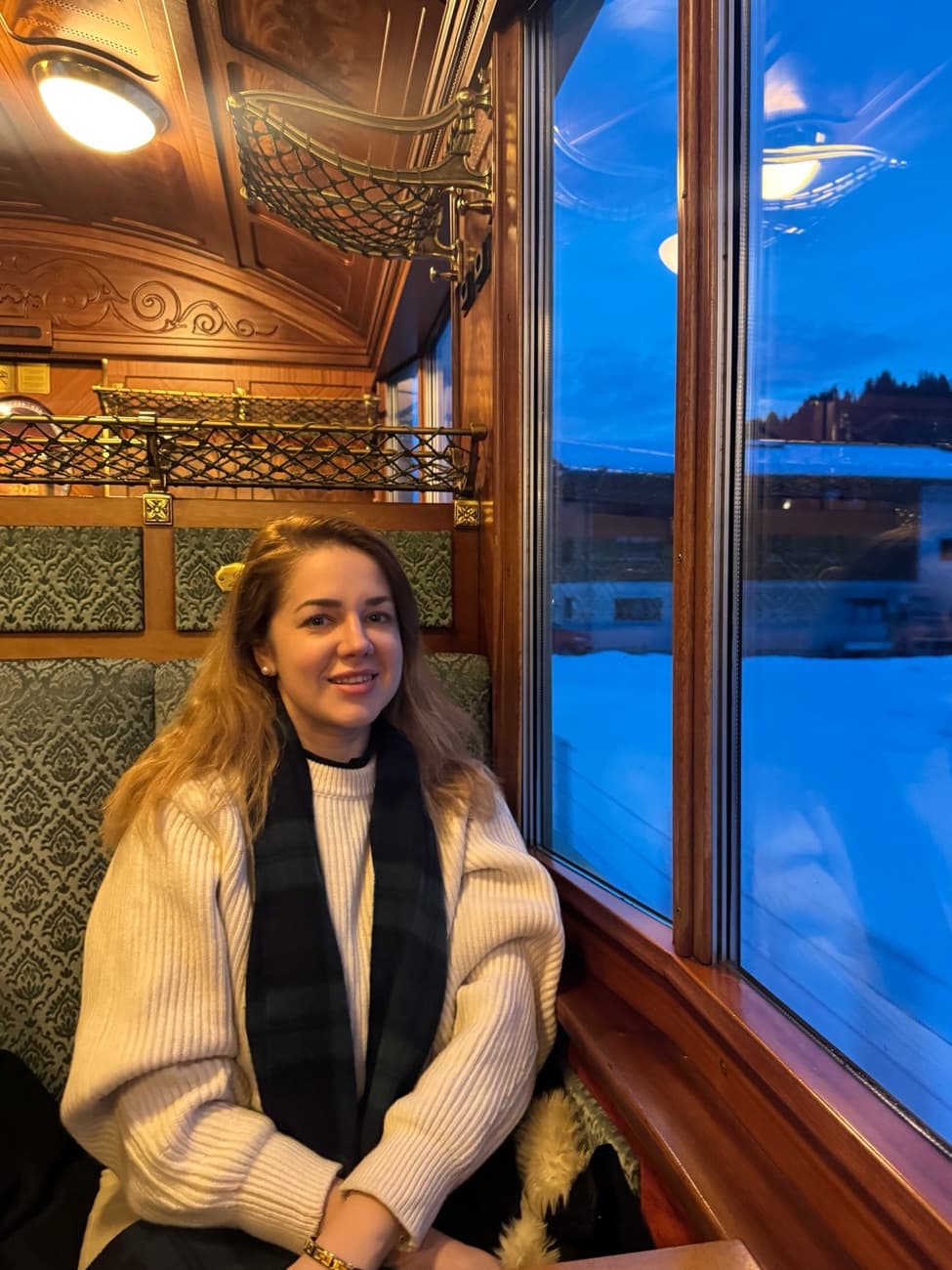 Anca Siminea on a train at dusk in winter